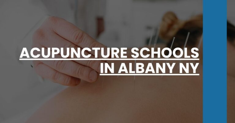 Acupuncture Schools in Albany NY Feature Image