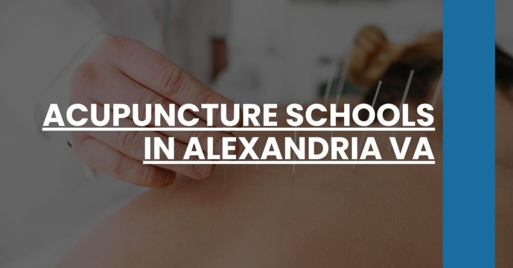 Acupuncture Schools in Alexandria VA Feature Image