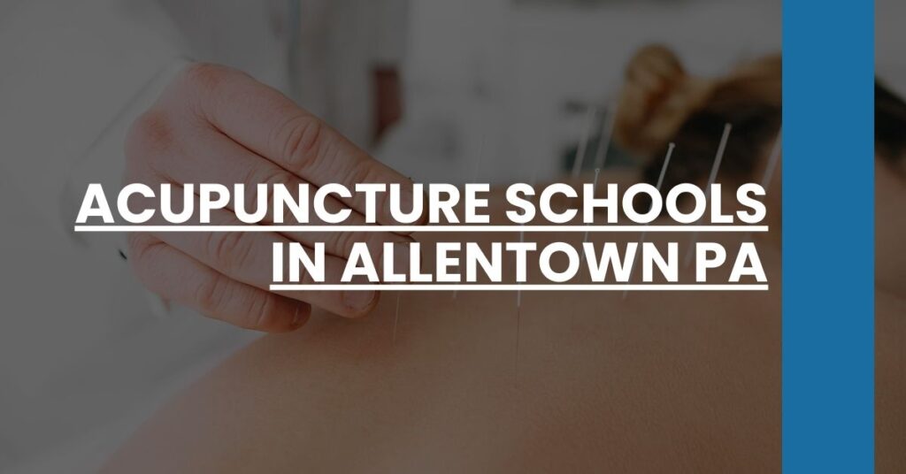 Acupuncture Schools in Allentown PA Feature Image