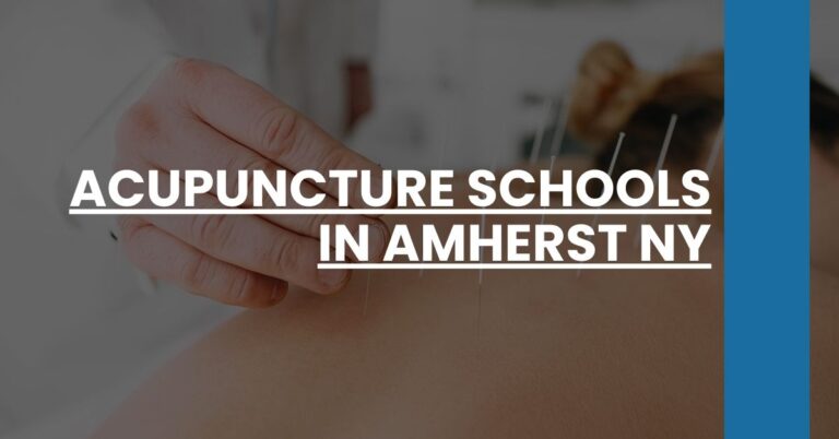 Acupuncture Schools in Amherst NY Feature Image