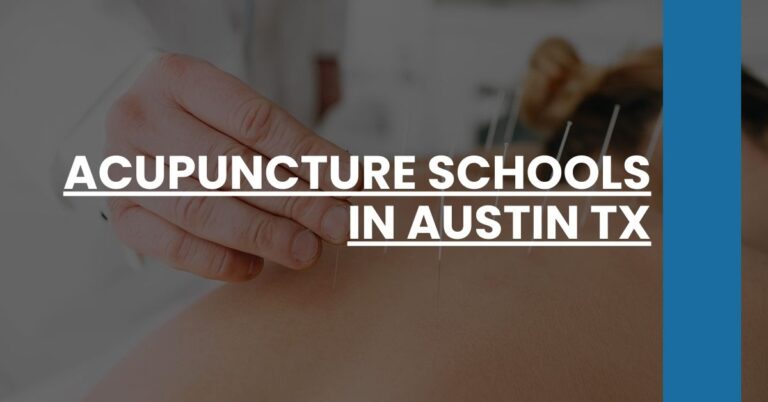 Acupuncture Schools in Austin TX Feature Image