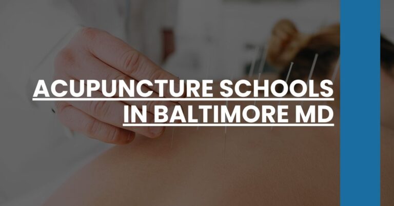 Acupuncture Schools in Baltimore MD Feature Image