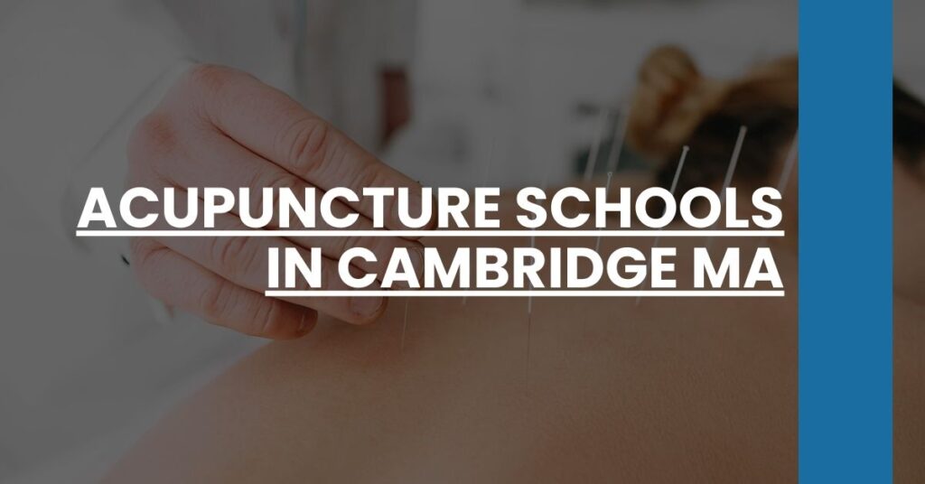 Acupuncture Schools in Cambridge MA Feature Image