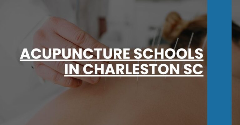 Acupuncture Schools in Charleston SC Feature Image