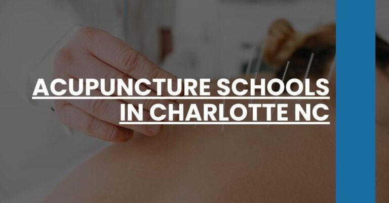 Acupuncture Schools in Charlotte NC Feature Image