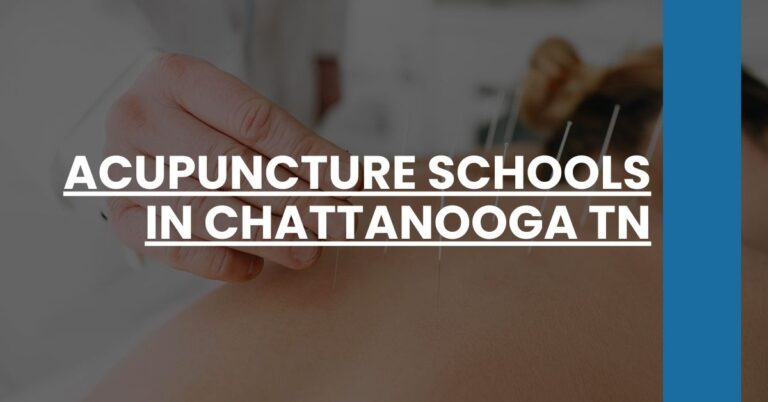 Acupuncture Schools in Chattanooga TN Feature Image