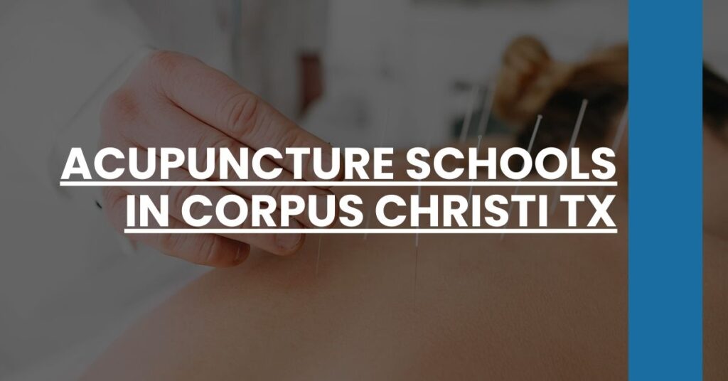 Acupuncture Schools in Corpus Christi TX Feature Image