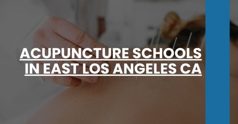 Acupuncture Schools in East Los Angeles CA Feature Image