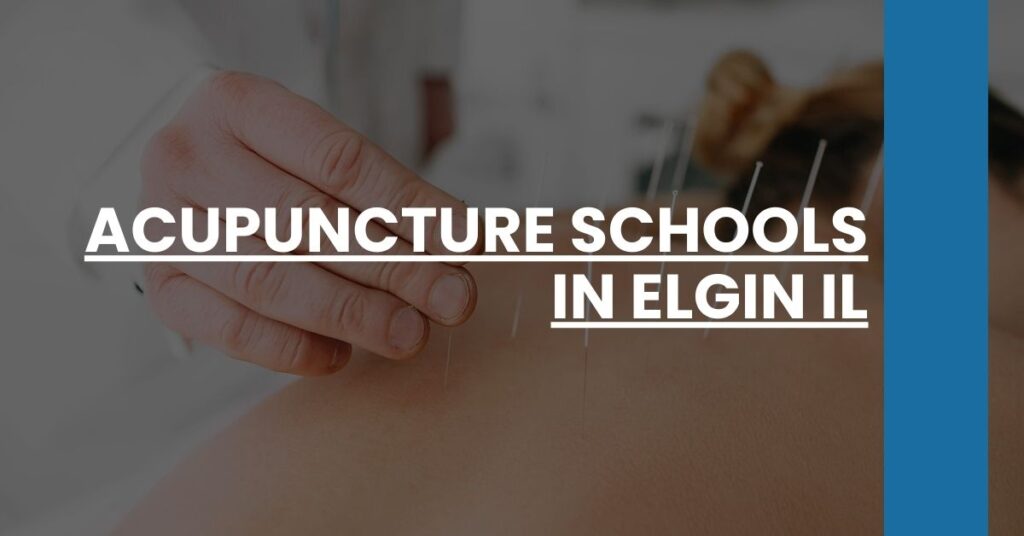 Acupuncture Schools in Elgin IL Feature Image