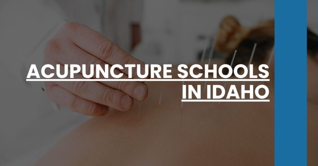 Acupuncture Schools in Idaho Feature Image