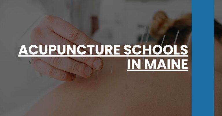 Acupuncture Schools in Maine Feature Image