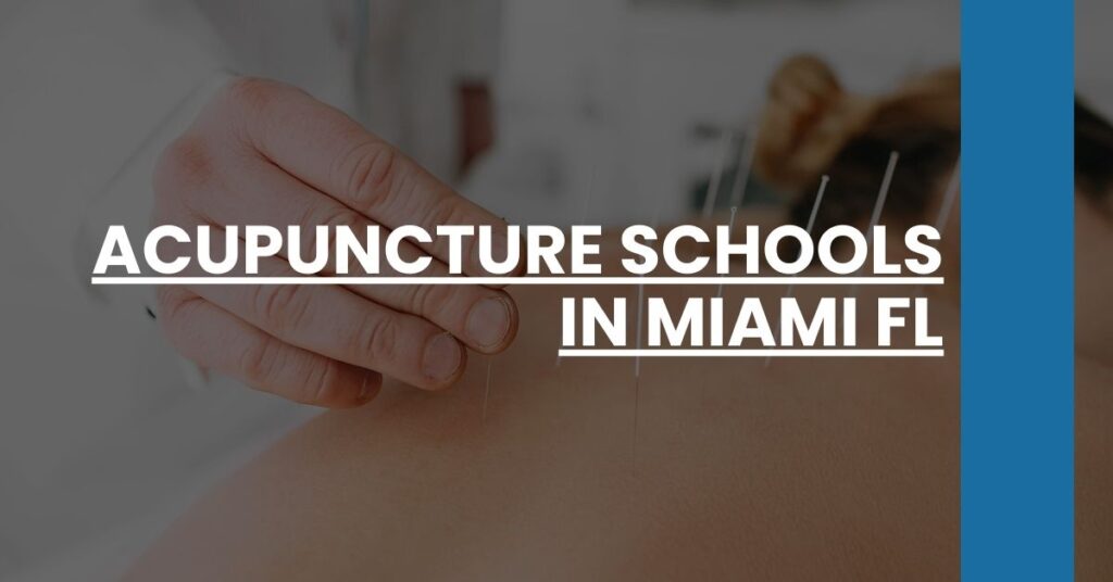 Acupuncture Schools in Miami FL Feature Image