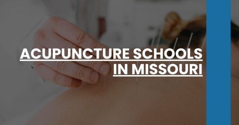 Acupuncture Schools in Missouri Feature Image