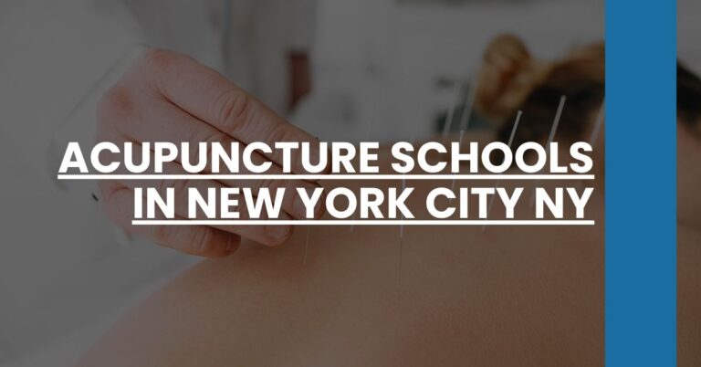 Acupuncture Schools in New York City NY Feature Image