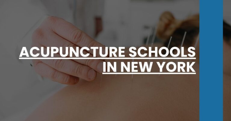 Acupuncture Schools in New York Feature Image