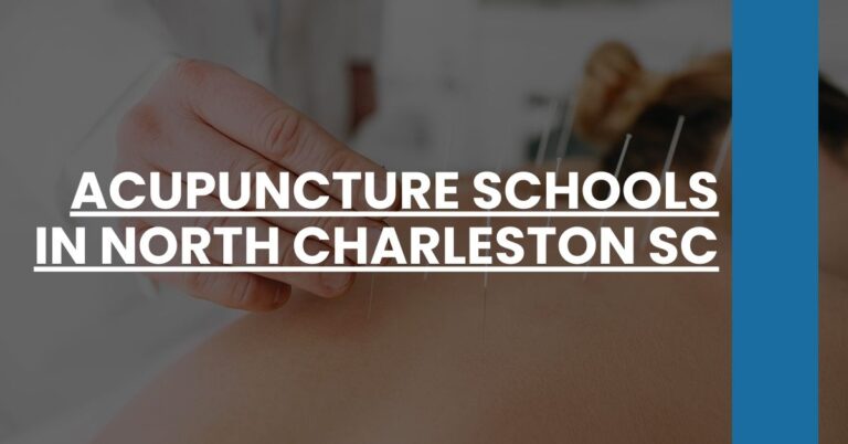 Acupuncture Schools in North Charleston SC Feature Image