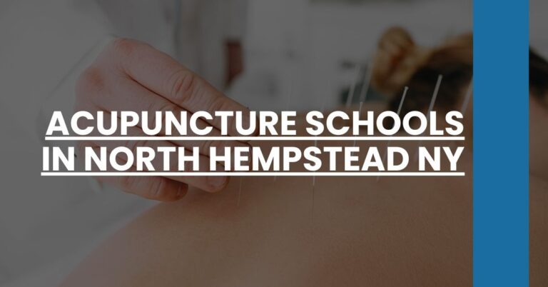 Acupuncture Schools in North Hempstead NY Feature Image