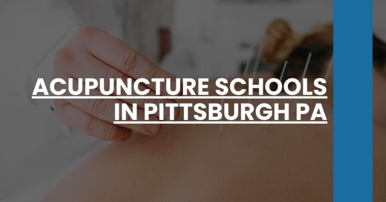 Acupuncture Schools in Pittsburgh PA Feature Image