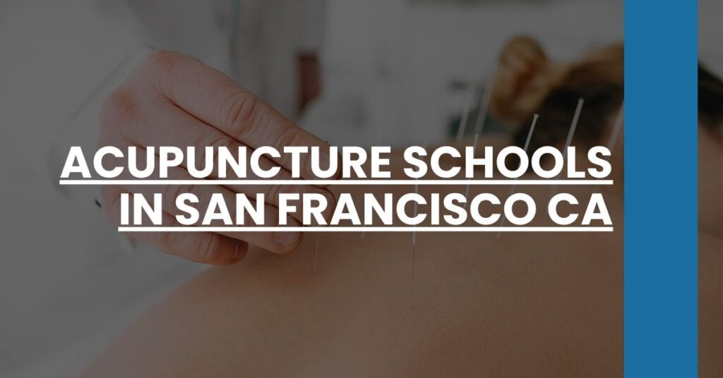 Acupuncture Schools in San Francisco CA Feature Image