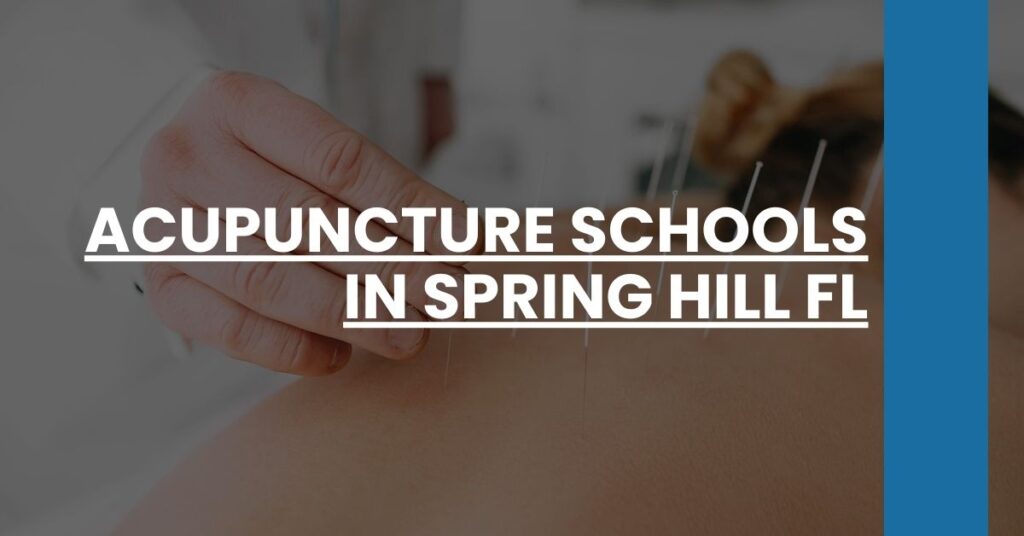 Acupuncture Schools in Spring Hill FL Feature Image