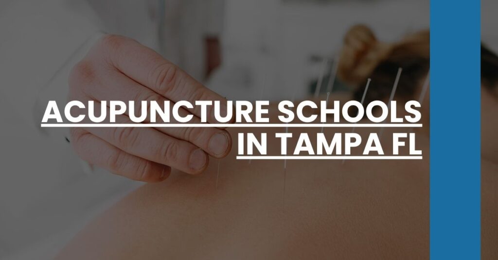 Acupuncture Schools in Tampa FL Feature Image