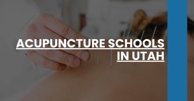 Acupuncture Schools in Utah Feature Image