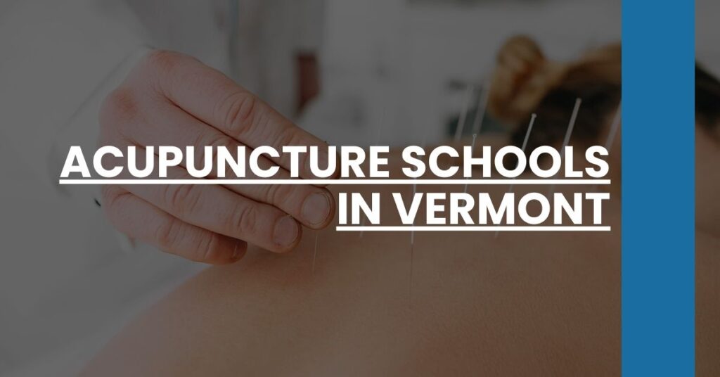 Acupuncture Schools in Vermont Feature Image