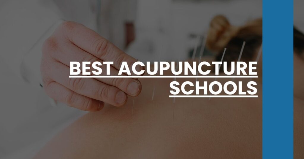 Best Acupuncture Schools Feature Image