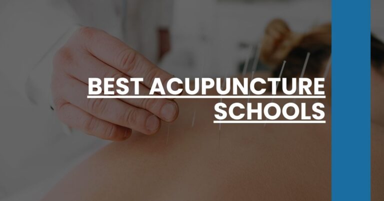 Best Acupuncture Schools Feature Image