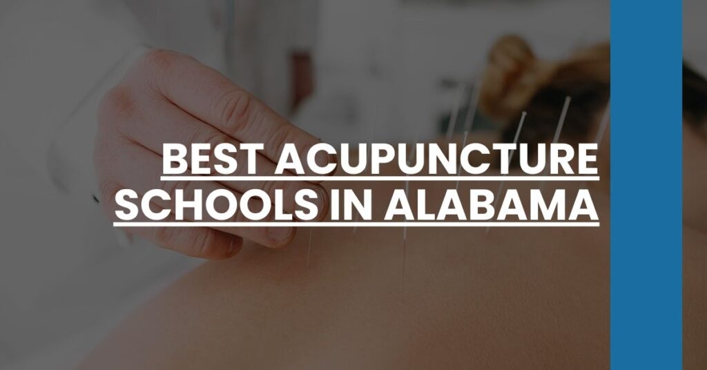 Best Acupuncture Schools In Alabama Feature Image