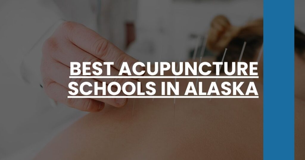 Best Acupuncture Schools In Alaska Feature Image