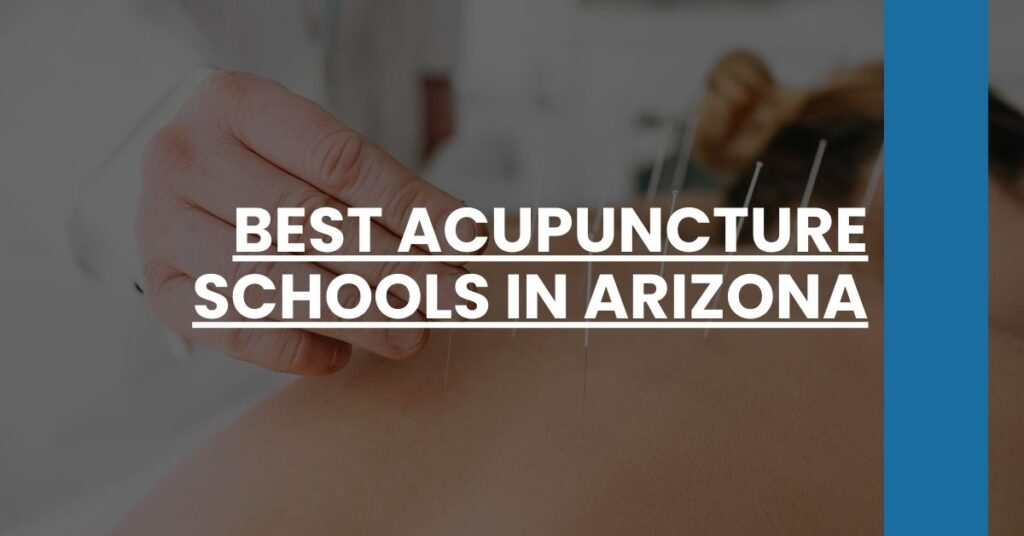 Best Acupuncture Schools In Arizona Feature Image