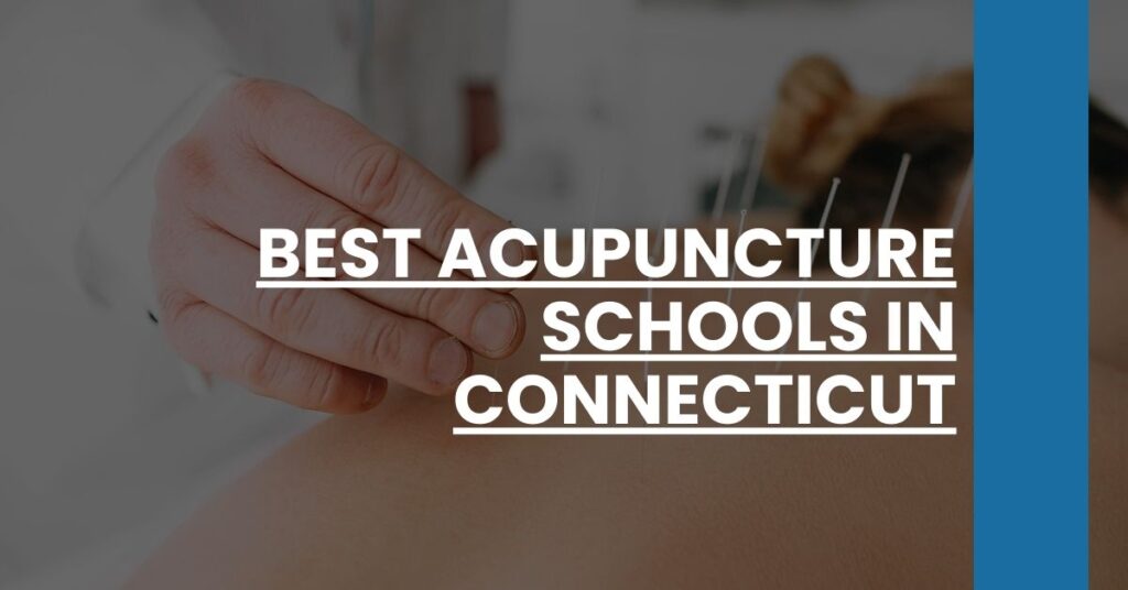 Best Acupuncture Schools In Connecticut Feature Image