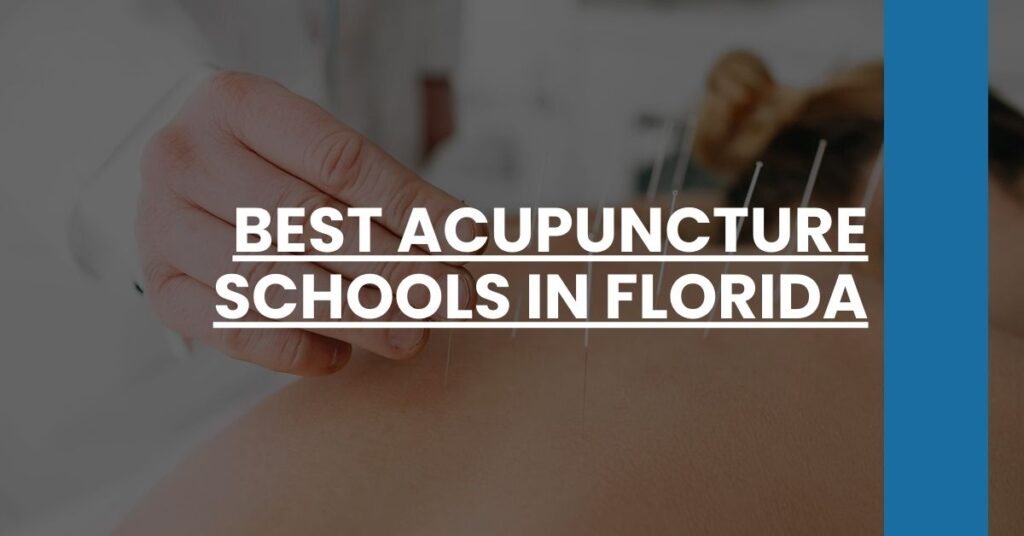 Best Acupuncture Schools In Florida Feature Image