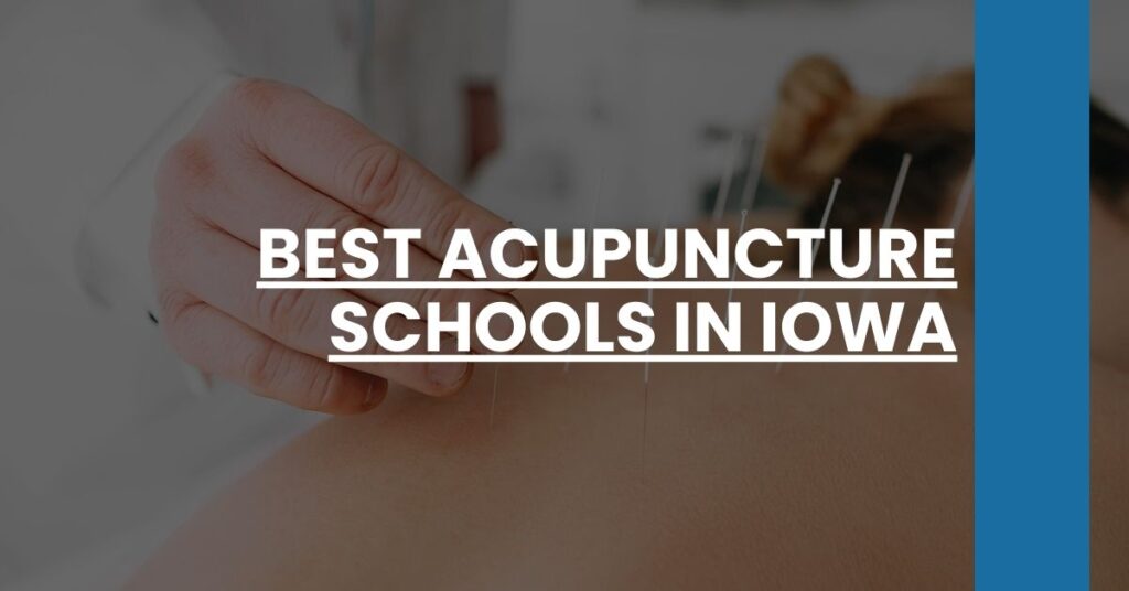 Best Acupuncture Schools In Iowa Feature Image