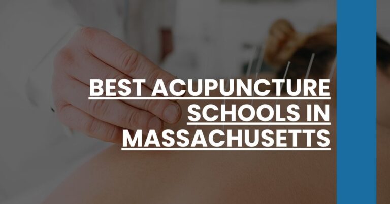 Best Acupuncture Schools In Massachusetts Feature Image