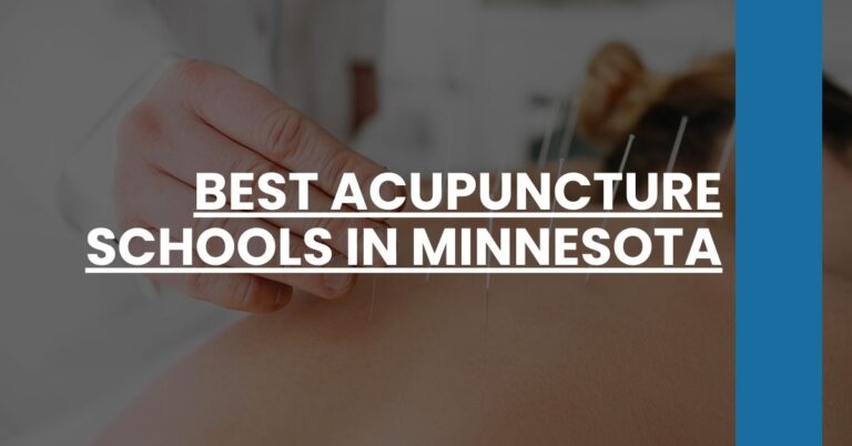 Best Acupuncture Schools In Minnesota Feature Image