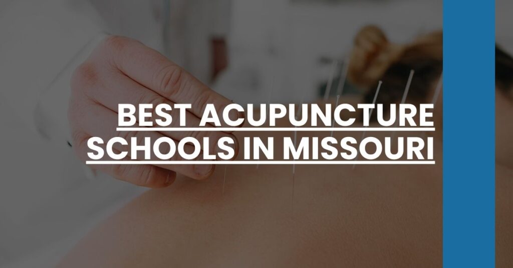 Best Acupuncture Schools In Missouri Feature Image