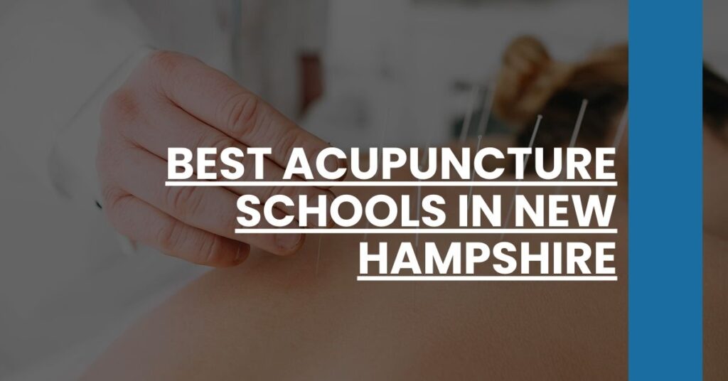 Best Acupuncture Schools In New Hampshire Feature Image