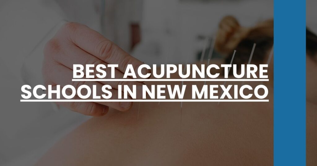 Best Acupuncture Schools In New Mexico Feature Image