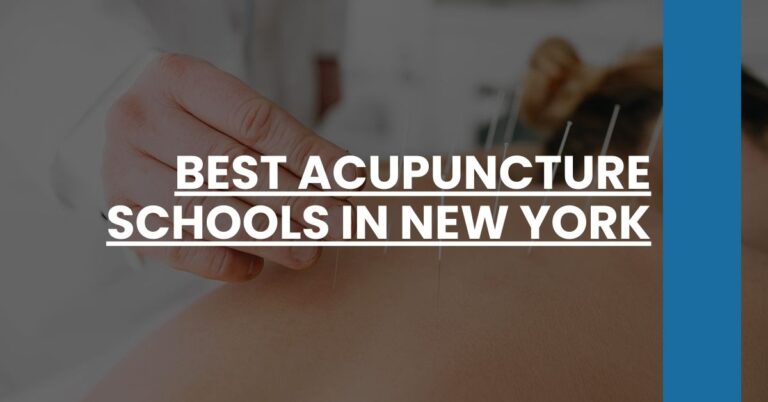 Best Acupuncture Schools In New York Feature Image