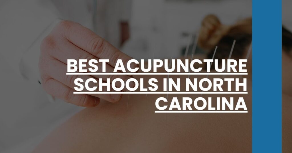 Best Acupuncture Schools In North Carolina Feature Image