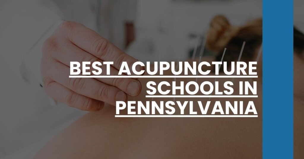 Best Acupuncture Schools In Pennsylvania Feature Image