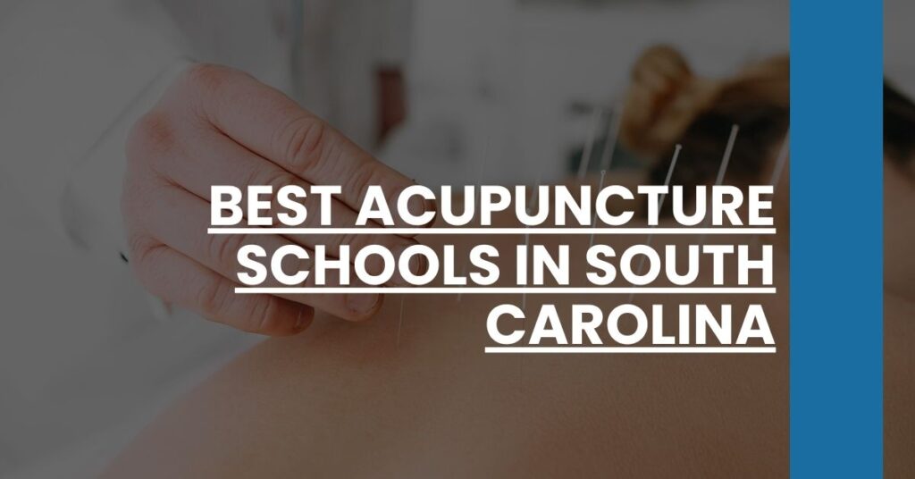 Best Acupuncture Schools In South Carolina Feature Image