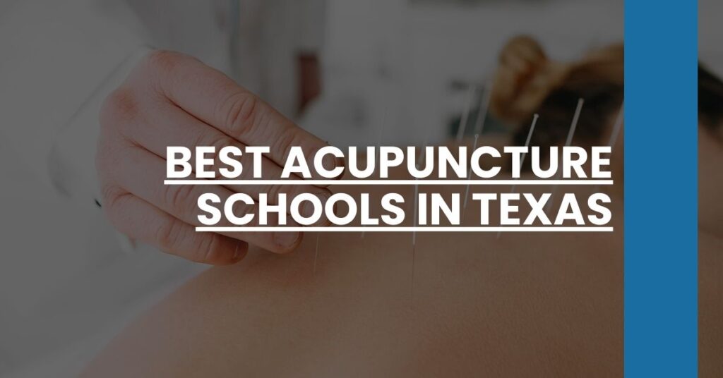 Best Acupuncture Schools In Texas Feature Image