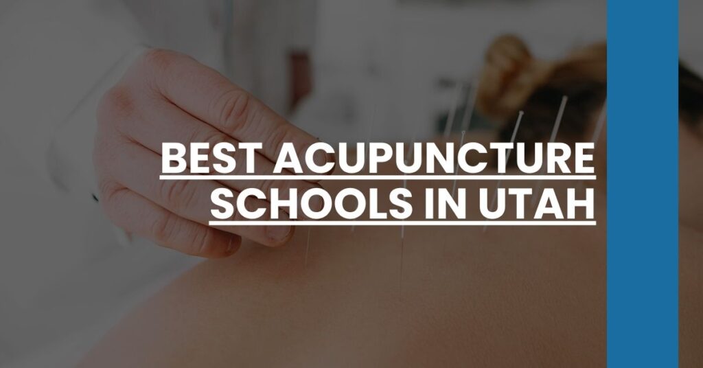 Best Acupuncture Schools In Utah Feature Image