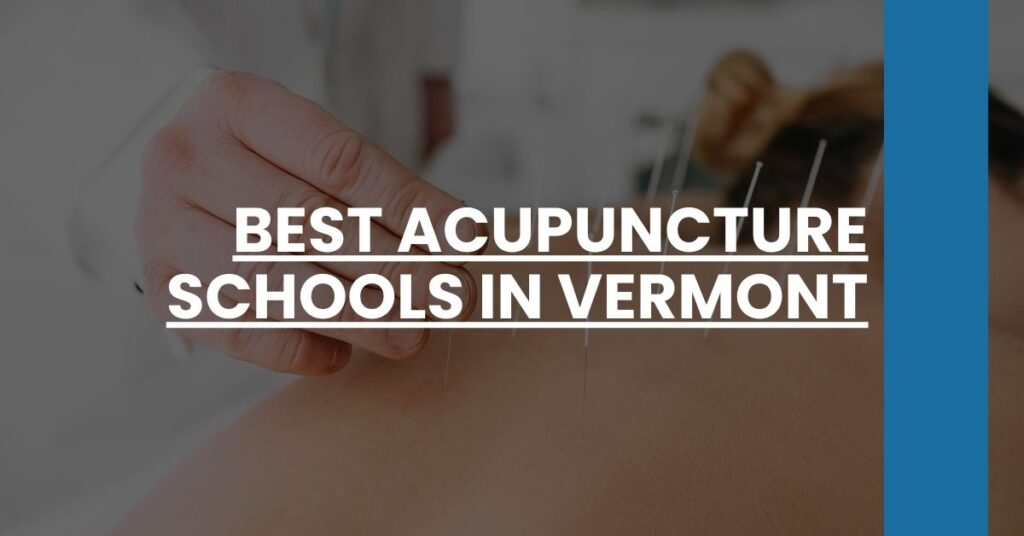 Best Acupuncture Schools In Vermont Feature Image