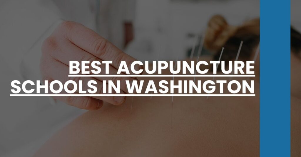 Best Acupuncture Schools In Washington Feature Image