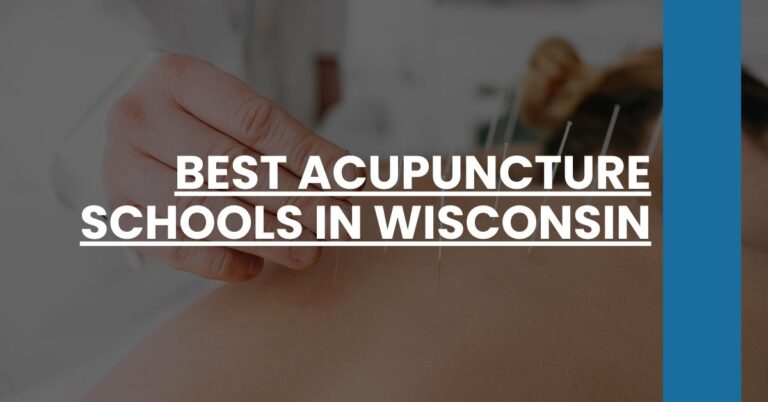 Best Acupuncture Schools In Wisconsin Feature Image